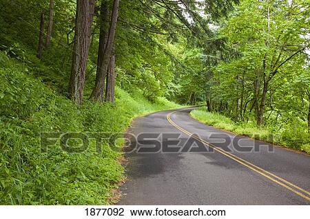 oregon, united states of america; a road in columbia river gorge national scenic area View Large Photo Image Stock Image - oregon, united states of america; a road in columbia river gorge national scenic area. Fotosearch