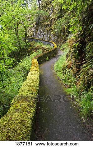 oregon, united states of america; a trail in sheppard's del in columbia river gorge national scenic area View Large Photo Image Stock Image - oregon, united states of america; a trail in sheppard's del in columbia river gorge national scenic area. Fotosearch