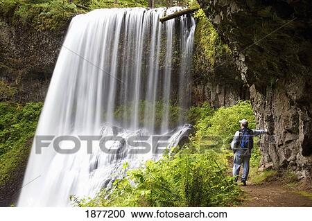 Stock Image - oregon, united states of america; a hiker at north middle falls in silver falls state park. Fotosearch