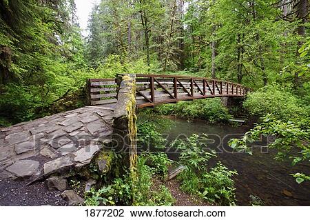 oregon, united states of america; a bridge, near north middle falls in silver falls state park View Large Photo Image Stock Image - oregon, united states of america; a bridge, near north middle falls in silver falls state park. Fotosearch