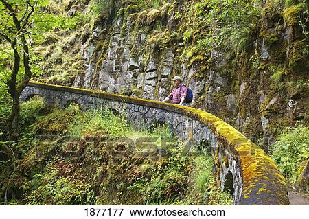 Stock Photo - oregon, united states of america; a hiker along sheppard's del in columbia river gorge national scenic area. Fotosearch