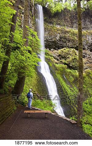 oregon, united states of america; a hiker at winter falls in silver falls state park View Large Photo Image Stock Photography - oregon, united states of america; a hiker at winter falls in silver falls state park. Fotosearch