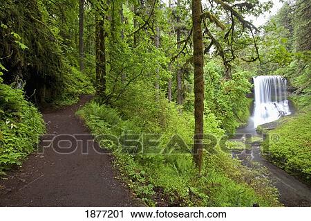 oregon, united states of america; north middle falls in silver falls state park View Large Photo Image Stock Image - oregon, united states of america; north middle falls in silver falls state park. Fotosearch