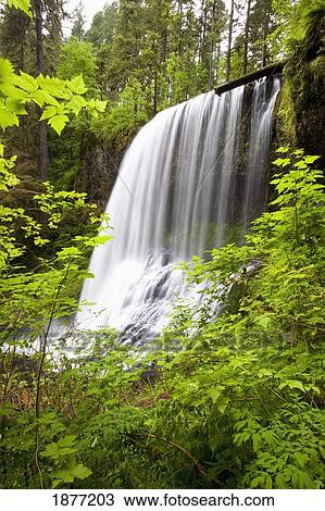Stock Image - oregon, united states of america; north middle falls in silver falls state park. Fotosearch