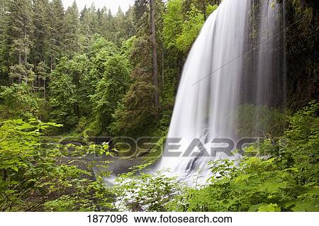 oregon, united states of america; north middle falls in silver falls state park View Large Photo Image Stock Photograph - oregon, united states of america; north middle falls in silver falls state park. Fotosearch
