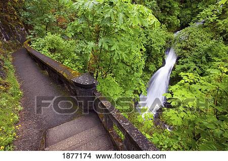oregon, united states of america; sheppard's del falls in columbia river gorge national scenic area View Large Photo Image Picture - oregon, united states of america; sheppard's del falls in columbia river gorge national scenic area. Fotosearch