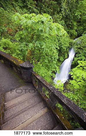 oregon, united states of america; sheppard's del falls in columbia river gorge national scenic area View Large Photo Image Stock Image - oregon, united states of america; sheppard's del falls in columbia river gorge national scenic area. Fotosearch