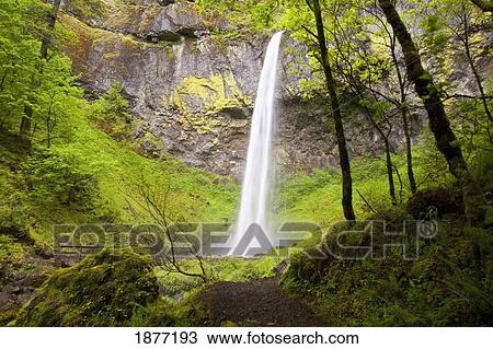 oregon, united states of america; elowah falls in columbia river gorge national scenic area View Large Photo Image Stock Image - oregon, united states of america; elowah falls in columbia river gorge national scenic area. Fotosearch