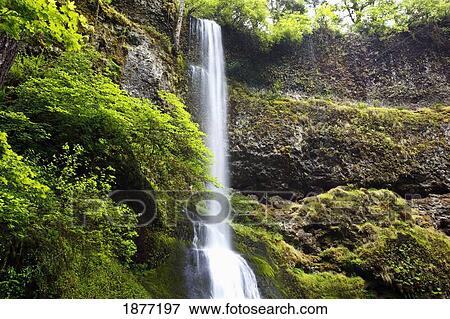 oregon, united states of america; winter falls in silver falls state park View Large Photo Image Stock Photo - oregon, united states of america; winter falls in silver falls state park. Fotosearch