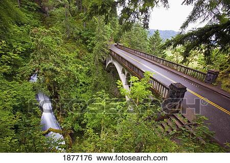 oregon, united states of america; sheppard's del falls and a road in columbia river gorge national scenic area View Large Photo Image Stock Photograph - oregon, united states of america; sheppard's del falls and a road in columbia river gorge national scenic area. Fotosearch