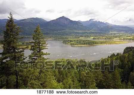 Stock Photo - oregon, united states of america; view from the trail to mccord creek falls in columbia river gorge national scenic area. Fotosearch