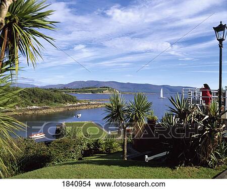 Picture - Parknasilla, Co Kerry, Ireland. Fotosearch