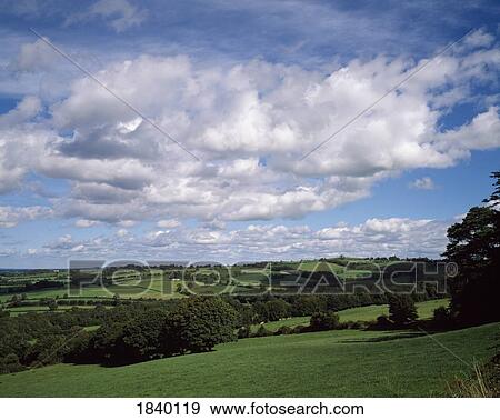Pastoral, Near Portrue, Lough Derg, Co Tipperary View Large Photo Image Stock Photo - Pastoral, Near Portrue, Lough Derg, Co Tipperary. Fotosearch