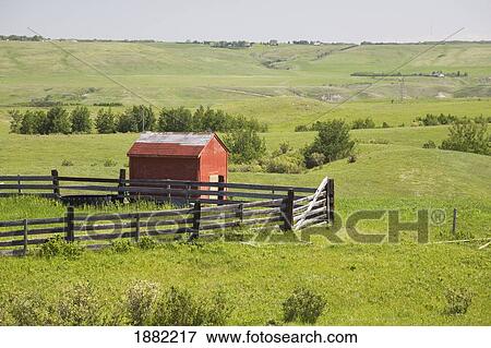 Stock Photo - pasture fields with a red shack and a fenced area; alberta, canada. Fotosearch