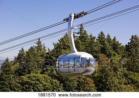 portland aerial tram; portland, oregon, united states of america View Large Photo Image Stock Image - portland aerial tram; portland, oregon, united states of america. Fotosearch