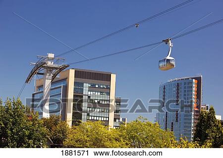 portland aerial tram; portland, oregon, united states of america View Large Photo Image Stock Image - portland aerial tram; portland, oregon, united states of america. Fotosearch