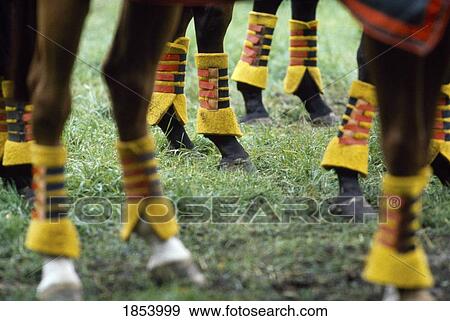 Stock Photo - Protection On Horses Legs For Polo. Fotosearch