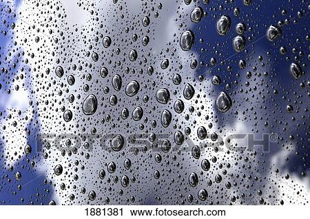 Stock Image - rain droplets on the roof of a car; edmonton, alberta, canada. Fotosearch