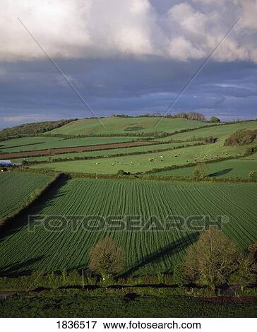 Scenic View Of Farmland View Large Photo Image Stock Photo - Scenic View Of Farmland. Fotosearch
