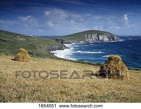 Seashore, Slea Head, County Kerry, Ireland View Large Photo Image Stock Image - Seashore, Slea Head, County Kerry, Ireland. Fotosearch