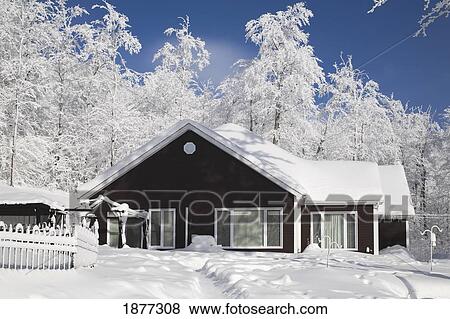 shefford, quebec, canada; a house and trees covered in snow in winter View Large Photo Image Stock Photo - shefford, quebec, canada; a house and trees covered in snow in winter. Fotosearch