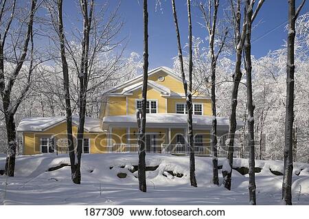 shefford, quebec, canada; a house and trees covered with snow in the winter View Large Photo Image Stock Photo - shefford, quebec, canada; a house and trees covered with snow in the winter. Fotosearch