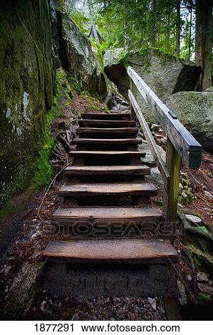 Stock Image - squamish, british columbia, canada; wooden steps through a forest. Fotosearch