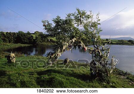 St. Patricks Well, Near Ballyshannon, Co Donegal, Ireland View Large Photo Image Stock Image - St. Patricks Well, Near Ballyshannon, Co Donegal, Ireland. Fotosearch