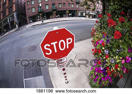 stop sign on a street; seattle, washington, united states of america View Large Photo Image Stock Photo - stop sign on a street; seattle, washington, united states of america. Fotosearch