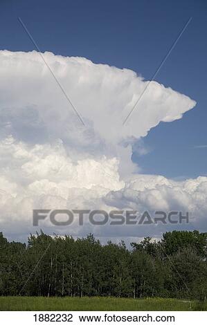 storm clouds approaching over trees; calgary, alberta, canada View Large Photo Image Stock Image - storm clouds approaching over trees; calgary, alberta, canada. Fotosearch