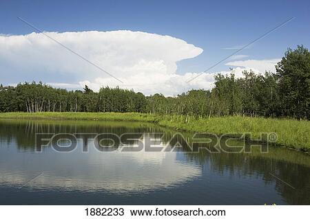 Stock Image - storm clouds reflected in a lake in a park; calgary, alberta, canada. Fotosearch