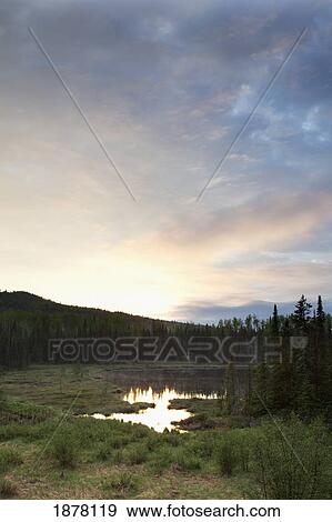 sunset over a misty pond; thunder bay, ontario, canada View Large Photo Image Stock Photo - sunset over a misty pond; thunder bay, ontario, canada. Fotosearch
