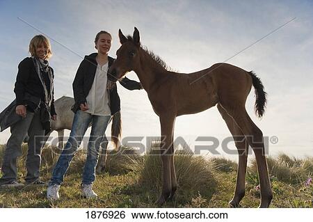 Stock Photograph - tarifa, cadiz, andalusia, spain; a girl pets a foal while standing with her mother. Fotosearch