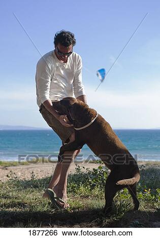 tarifa, cadiz, andalusia, spain; a man and his dog at arte y vida beach in costa de la luz View Large Photo Image Stock Photograph - tarifa, cadiz, andalusia, spain; a man and his dog at arte y vida beach in costa de la luz. Fotosearch