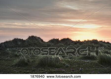 Stock Image - tarifa, cadiz, andalusia, spain; a sunset at los lances beach in costa de la luz. Fotosearch