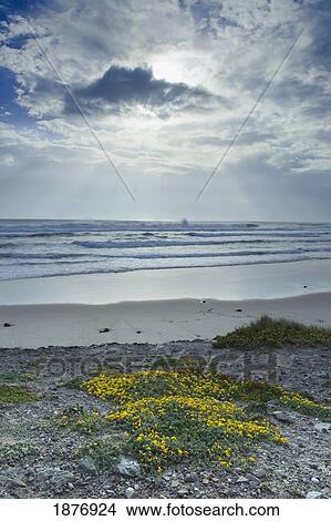 tarifa, cadiz, andalusia, spain; los lances beach along costa de la luz View Large Photo Image Picture - tarifa, cadiz, andalusia, spain; los lances beach along costa de la luz. Fotosearch