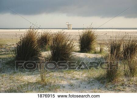 Stock Photography - tarifa, cadiz, andalusia, spain; los lances beach along costa de la luz. Fotosearch