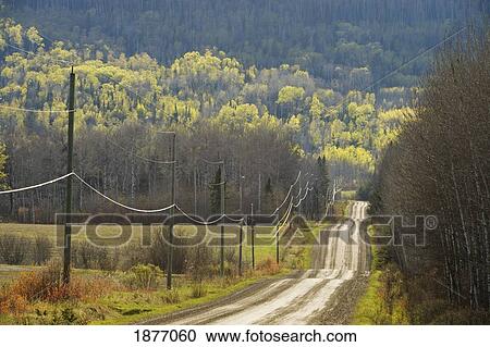 thunder bay, ontario, canada; a country road with electrical wires running along it View Large Photo Image Stock Image - thunder bay, ontario, canada; a country road with electrical wires running along it. Fotosearch