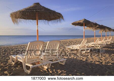 Stock Image - torremolinos, malaga, andalusia, spain; sun umbrellas and beach chairs on a beach in costa del sol. Fotosearch