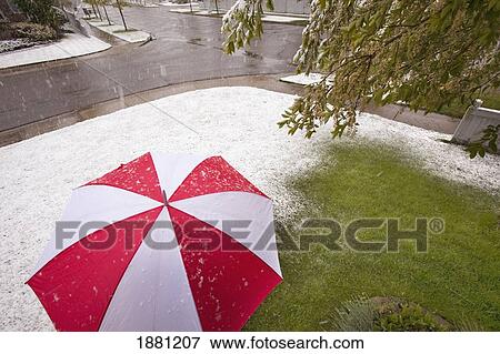 unusual weather; edmonton, alberta, canada View Large Photo Image Stock Photo - unusual weather; edmonton, alberta, canada. Fotosearch