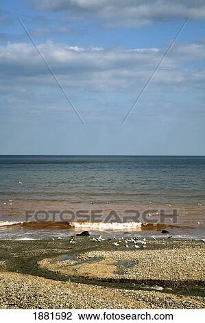 Stock Image - where the river meets the sea; sidmouth, devon, england. Fotosearch