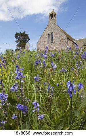 Stock Photograph - wildflowers in front of a stone church; northumberland, england. Fotosearch