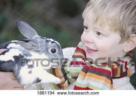 Picture - young boy holding his pet rabbit; portland, oregon, united states of america. Fotosearch