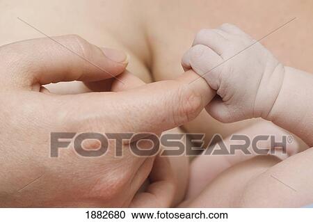 A Baby Holds It's Mother's Finger; Millet, Alberta, Canada View Large Photo Image Stock Image - A Baby Holds It's Mother's Finger; Millet, Alberta, Canada. Fotosearch