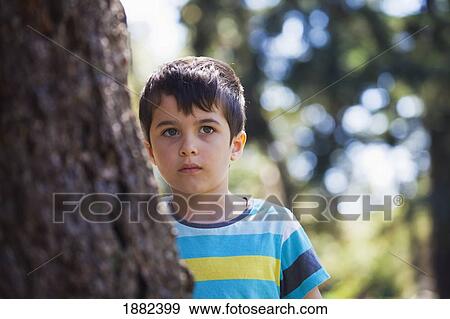 A Boy Hiding Behind A Tree; Langley, British Columbia, Canada View Large Photo Image Stock Photo - A Boy Hiding Behind A Tree; Langley, British Columbia, Canada. Fotosearch