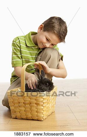 A Boy Petting A Rabbit In A Basket View Large Photo Image Stock Photo - A Boy Petting A Rabbit In A Basket. Fotosearch