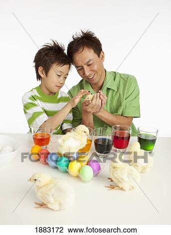 A Father And Son Playing With Chicks While Dying Easter Eggs View Large Photo Image Stock Image - A Father And Son Playing With Chicks While Dying Easter Eggs. Fotosearch