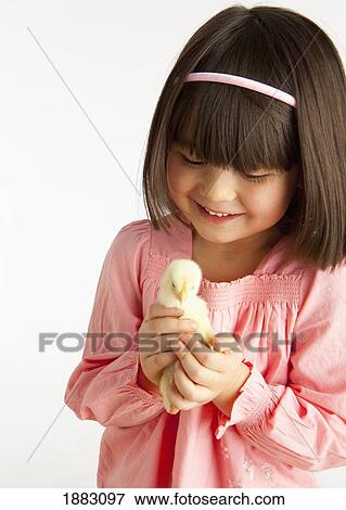 A Girl Holding A Chick View Large Photo Image Stock Photo - A Girl Holding A Chick. Fotosearch