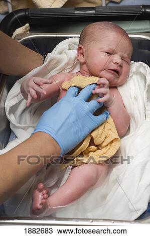 A Newborn Baby Getting It's First Bath In The Hospital; Millet, Alberta, Canada View Large Photo Image Stock Image - A Newborn Baby Getting It's First Bath In The Hospital; Millet, Alberta, Canada. Fotosearch