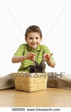 A Rabbit In A Basket And A Boy Holding It's Ears View Large Photo Image Stock Photography - A Rabbit In A Basket And A Boy Holding It's Ears. Fotosearch